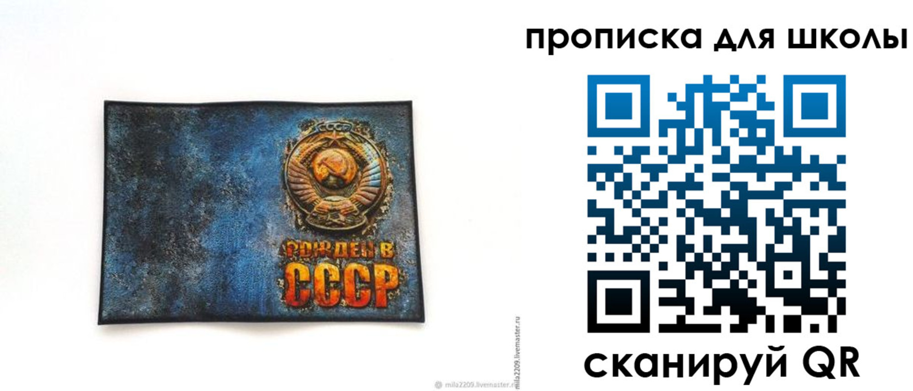 временная регистрация в Мончегорске