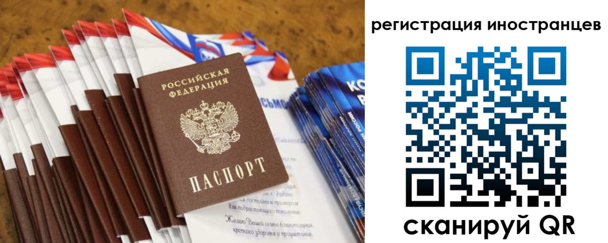 регистрация для школы в Мончегорске
